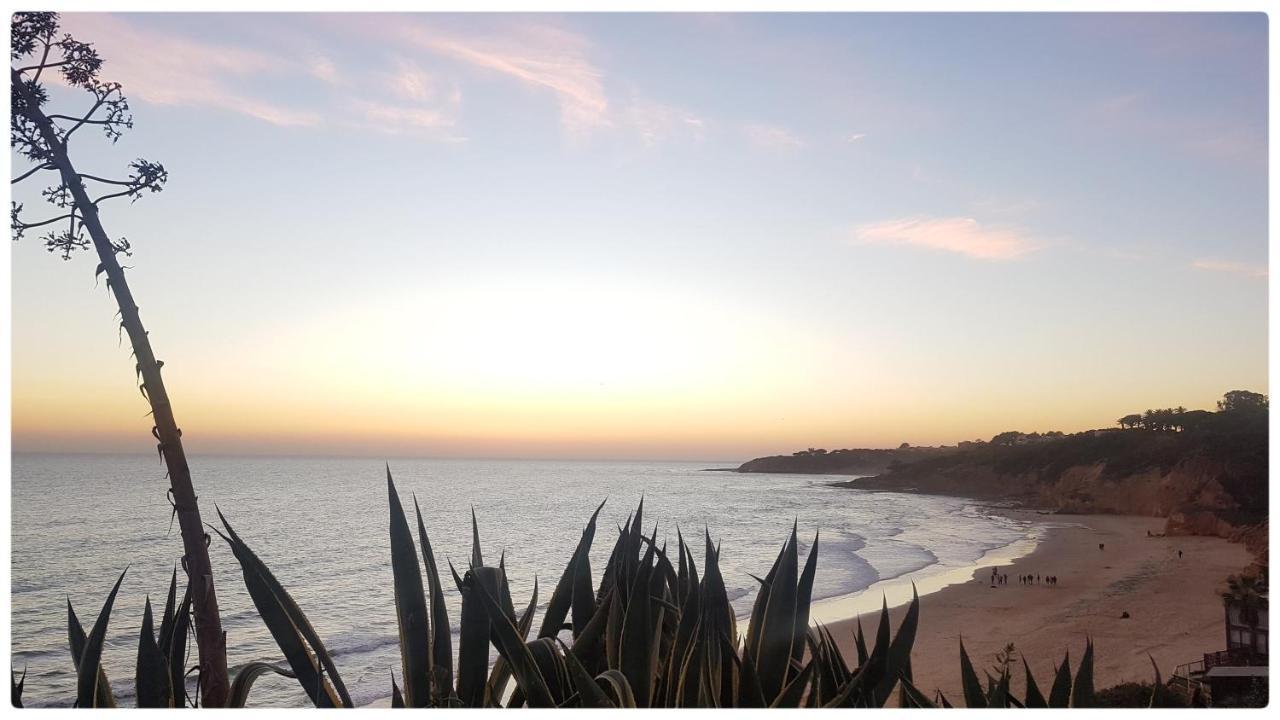 Sunset Villa By Laranjal Rentals أولوز داغوا المظهر الخارجي الصورة